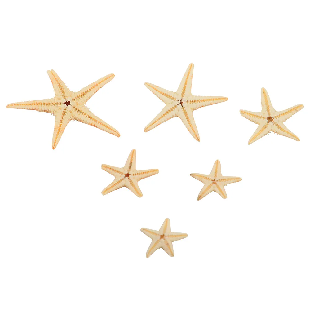 Real Starfish 30-Piece Set