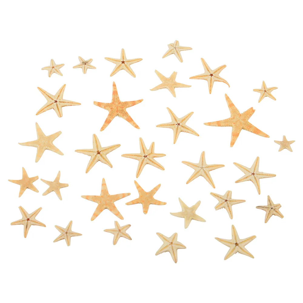 Real Starfish 30-Piece Set